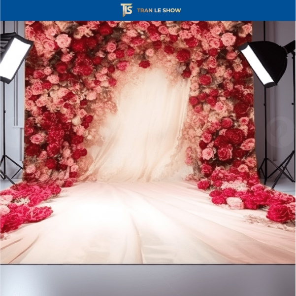 nền chụp hình sáng tạo