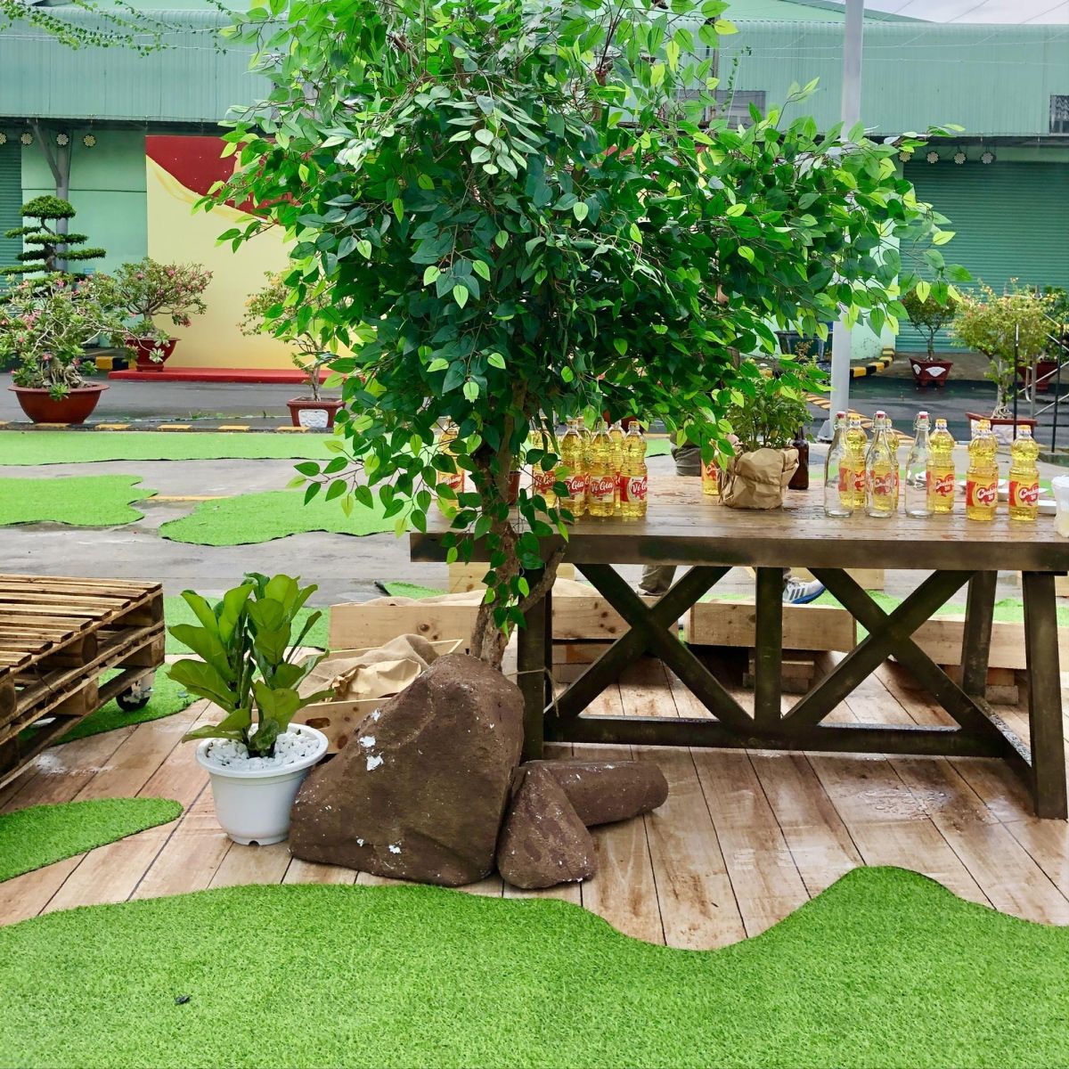 cây xanh lá giả trang trí đẹp như thật