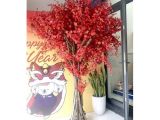 Thuê Cây Đào Giả Trang Trí Tết Tại TP.HCM: Cách Chọn Chiều Cao Và Tán Cây