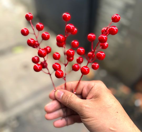 Bán Nhánh Đào Đông Đỏ Trang Trí Tết